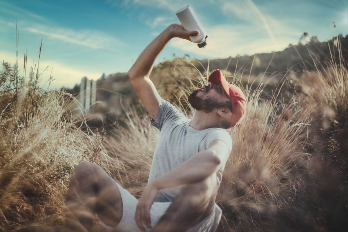 High-protein nutrition plan for muscle building